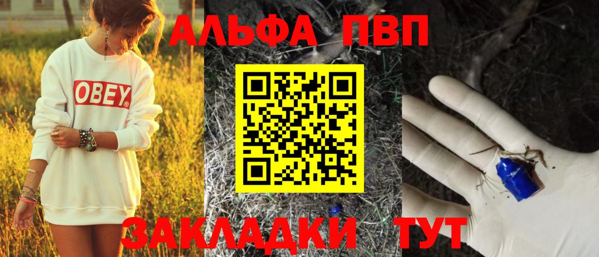 A PVP СК КРИС Донской