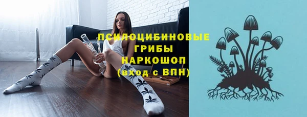 apvp Медвежьегорск