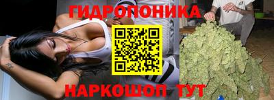 apvp Беслан