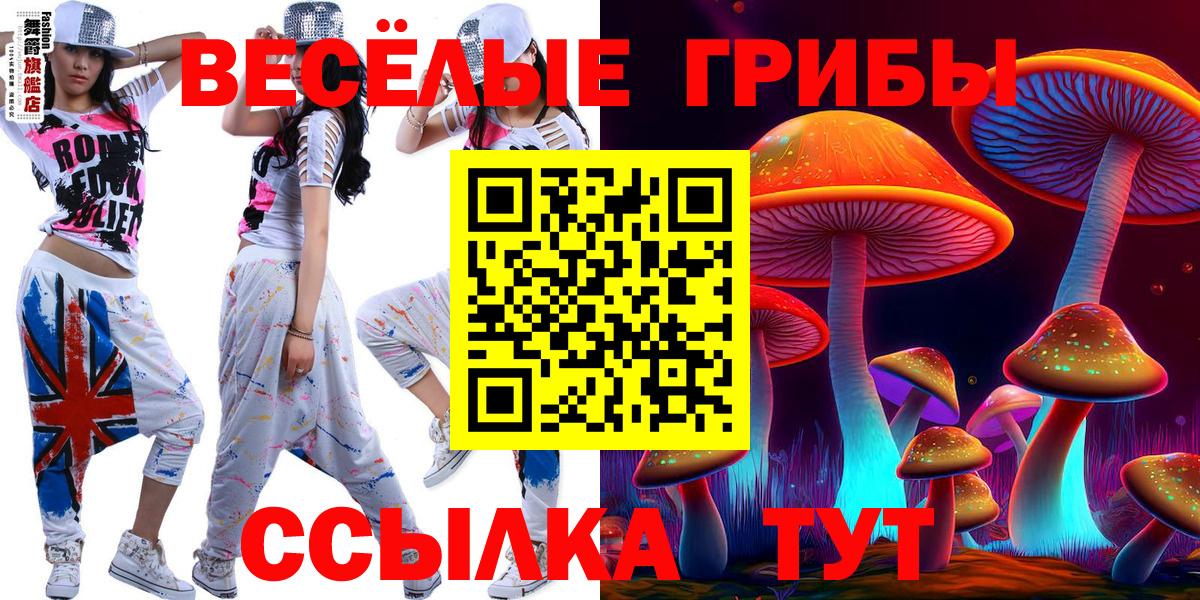 Галлюциногенные грибы Psilocybe  Вход с VPN  Донской 