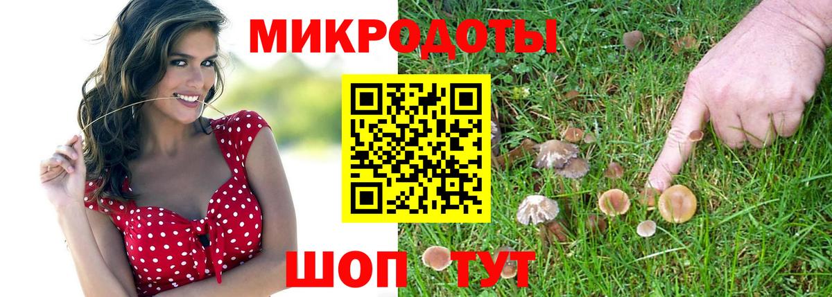 Галлюциногенные грибы Magic Shrooms  Донской 