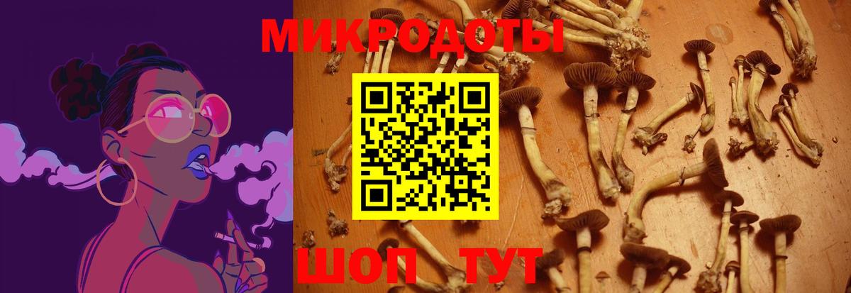 A PVP Донской